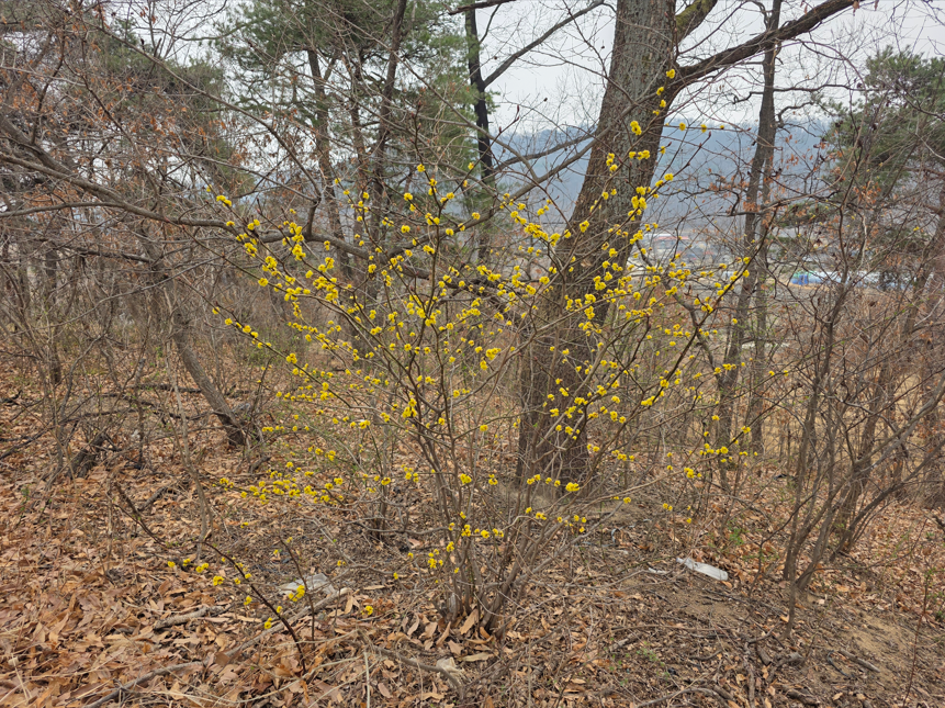 스크린샷 2026-03-25 221521.png