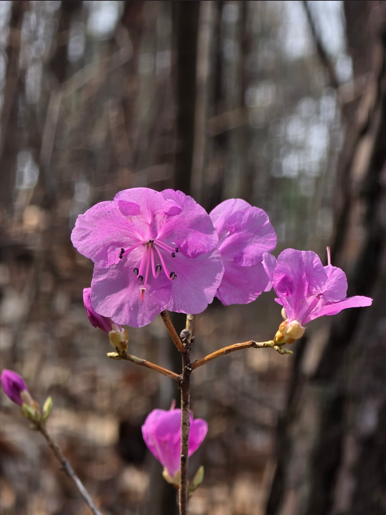 스크린샷 2026-03-28 095301.png