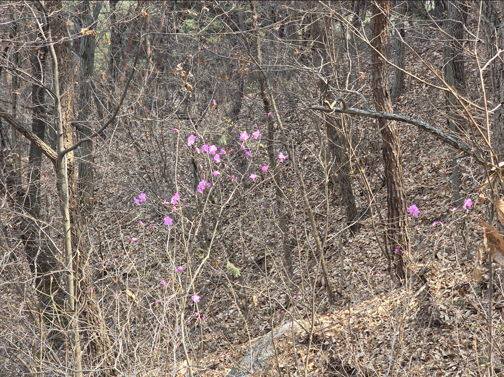 스크린샷 2026-03-28 095401.png