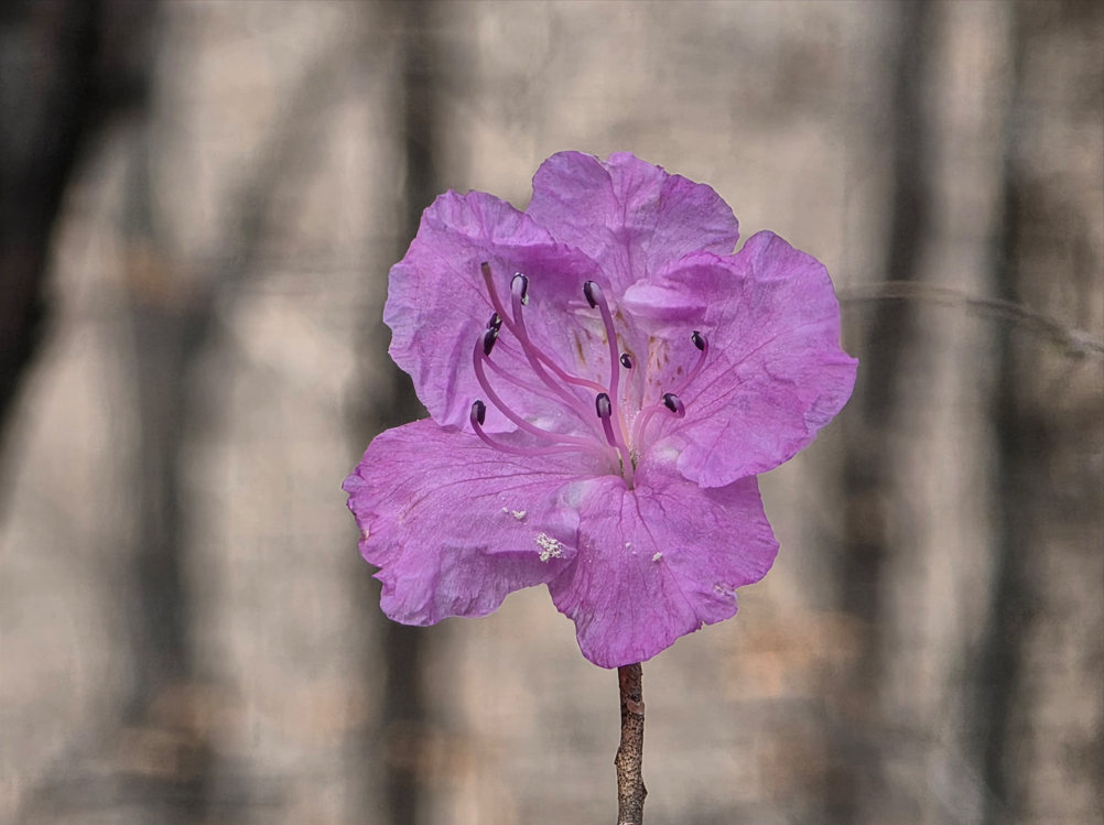 스크린샷 2026-03-28 095314.png