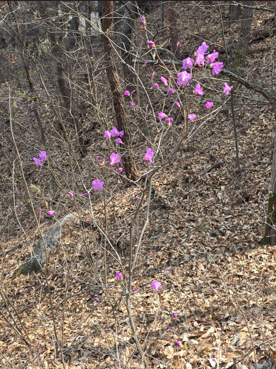 스크린샷 2026-03-28 095324.png